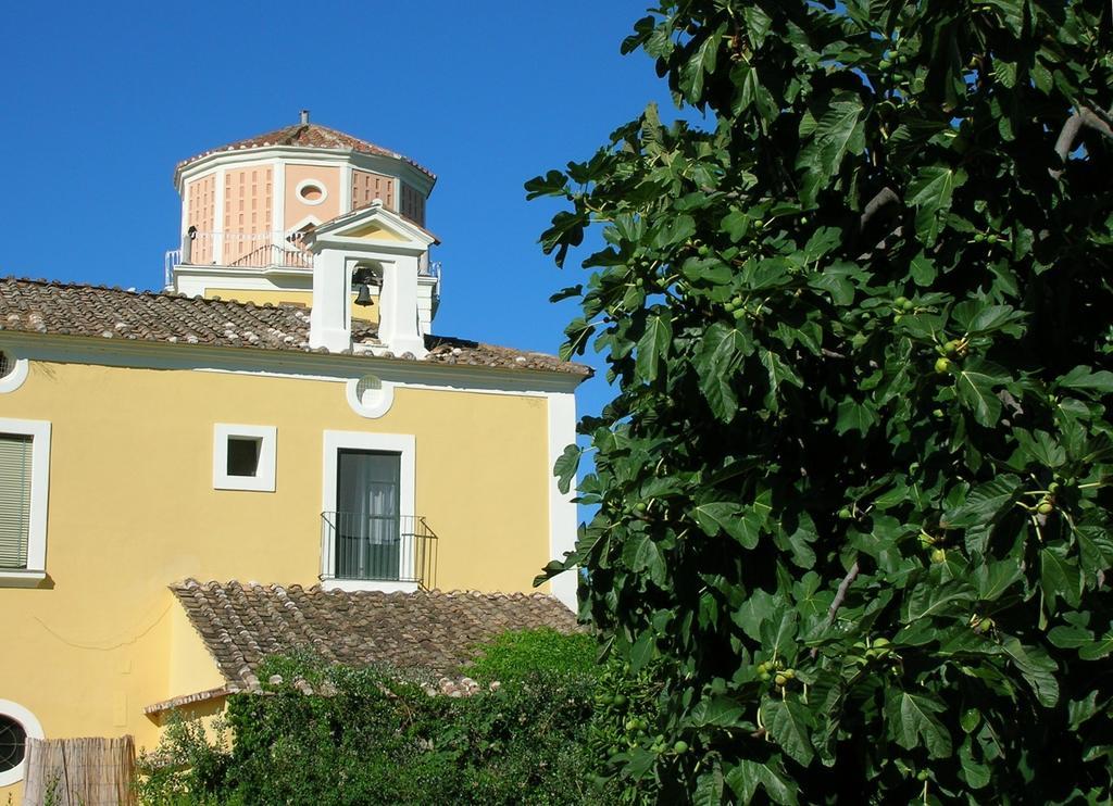 Farmstay La Morella Battipaglia Extérieur photo
